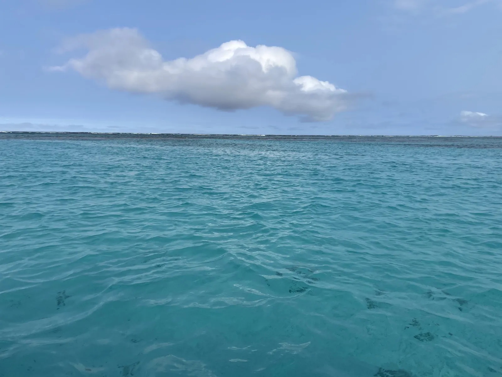 与論島の遠浅の海